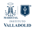Logo Instituto Valladolid